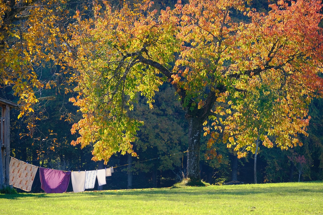 Effective Ways to Secure Your Backyard